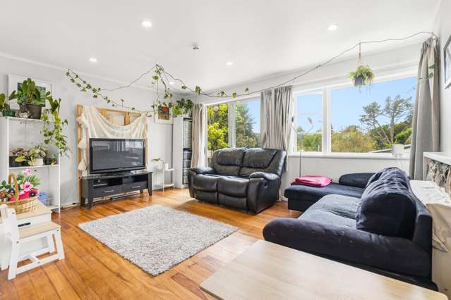 15 Acacia Avenue Kihikihi_1