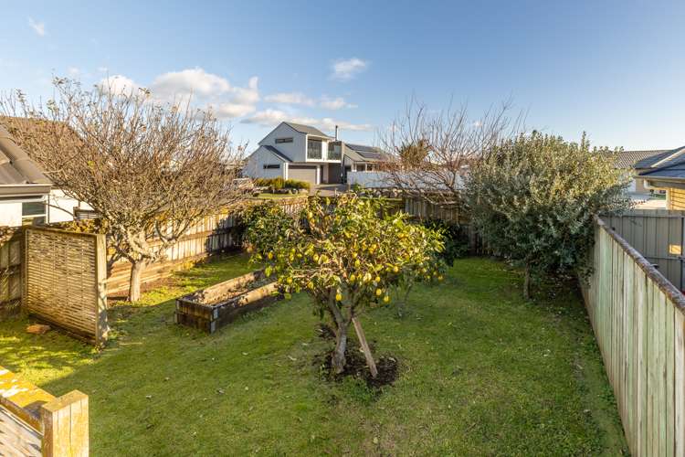 56 Dillon Drive Bell Block_19