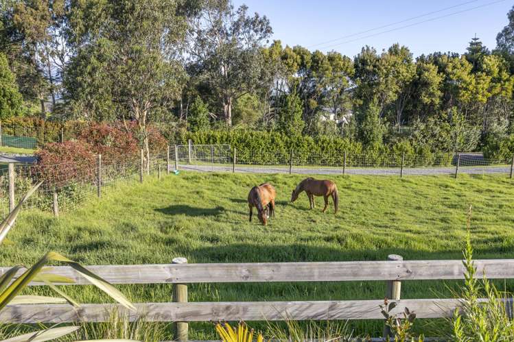 44B Crosland Road South Head_62