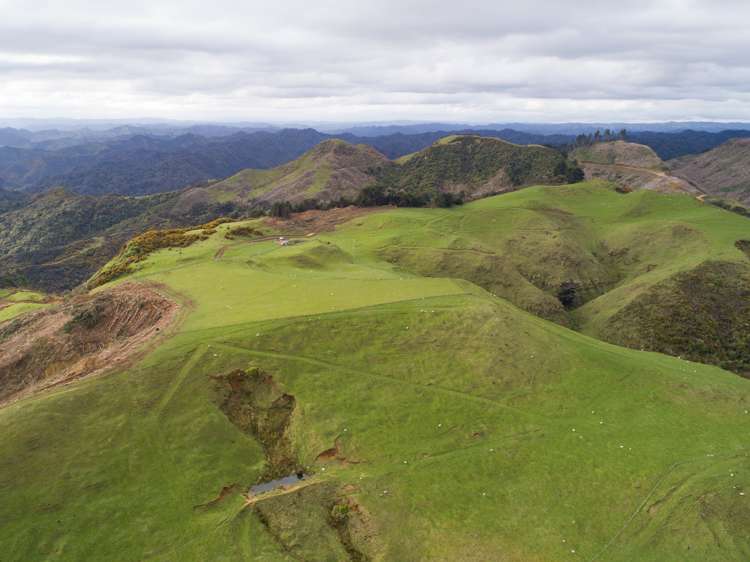 820 Rangitatau West Road Waitotara_17