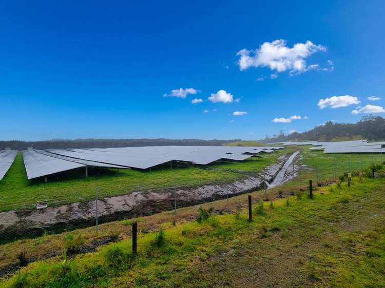124 Lamb Road Pukenui_3