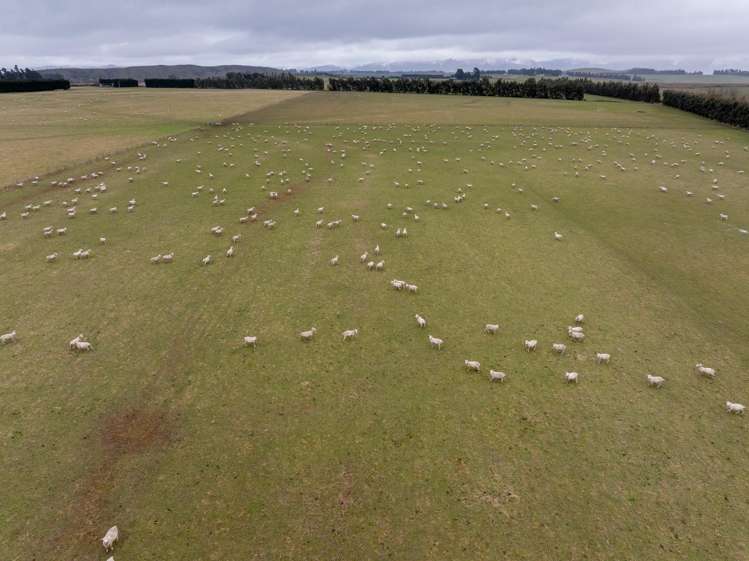 199 Mossburn Five Rivers Road Te Anau Surrounds_19