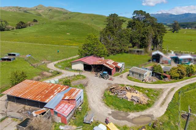 86 Mangatainoka Valley Road Nireaha_4