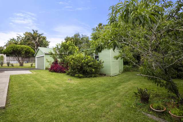 6 Fowler Avenue Mount Albert_1