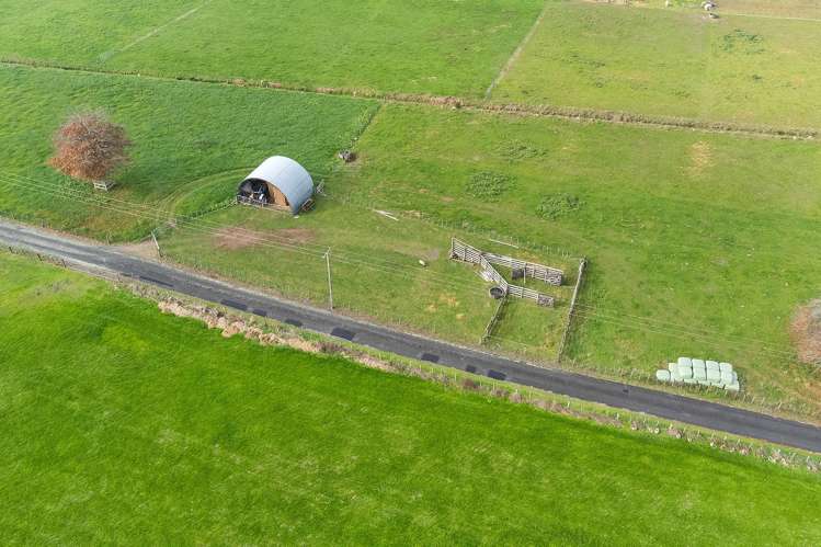 81D Horrell Road Morrinsville_22