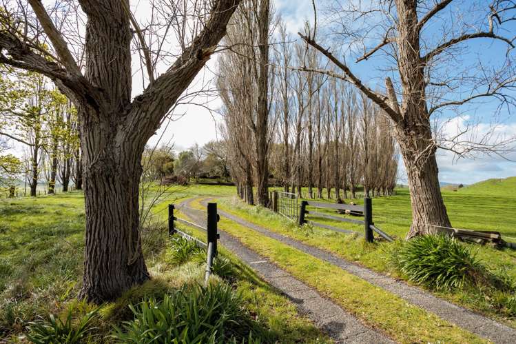 35 Chepmell Road Morrinsville_23