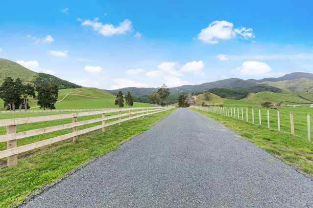 Lot 4 Hill Road Te Aroha_4