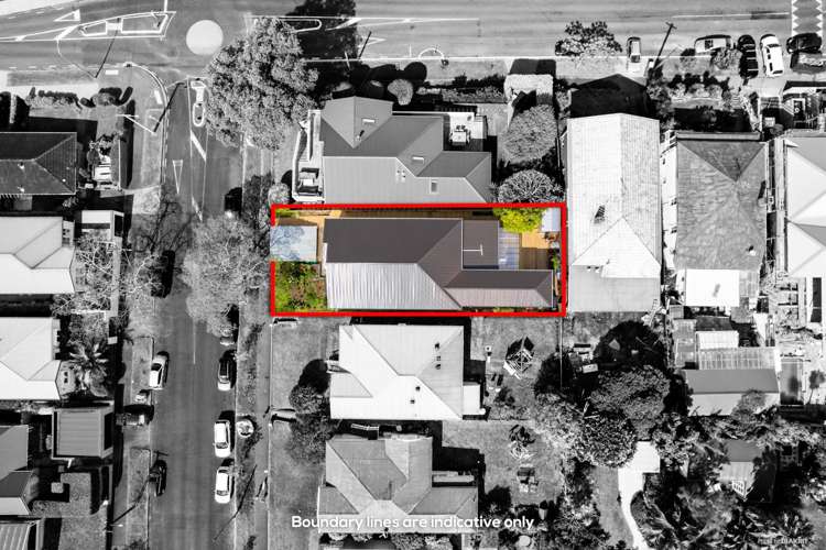 33 Allen Road Grey Lynn_8