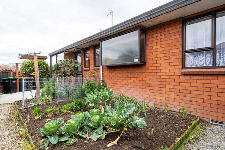 2/73 Wilson Street Seaview_12