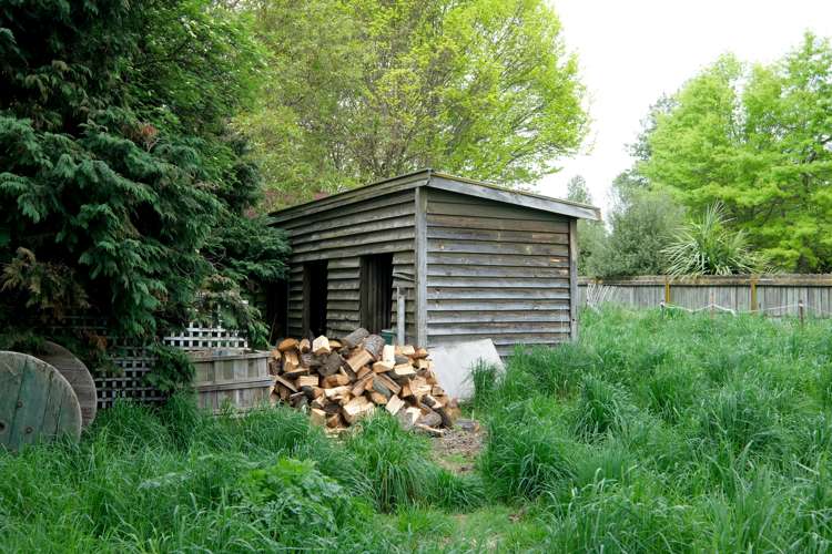 57 Gall Street Fairlie_14