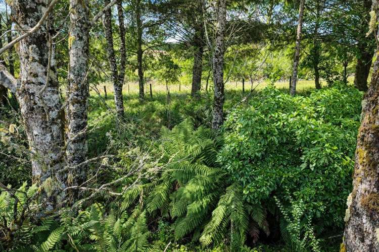 8 Raurimu Road Raurimu_9