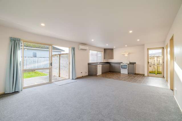 1C Marlborough Street Feilding_3