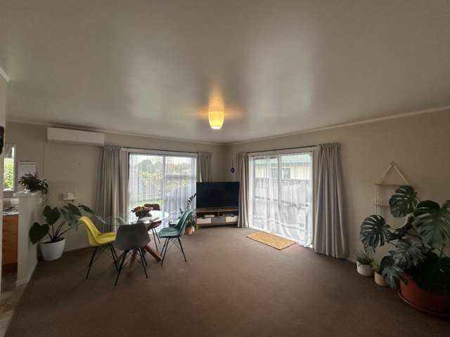 3/20 Dublin Street Pukekohe_2