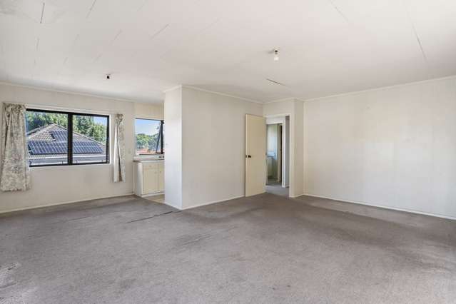 164a Hendon Avenue Mount Albert_3