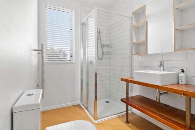 26 Aroha Avenue Sandringham_3