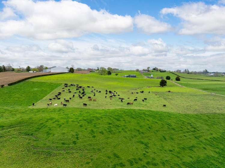 222 Gunn Road Matamata_23