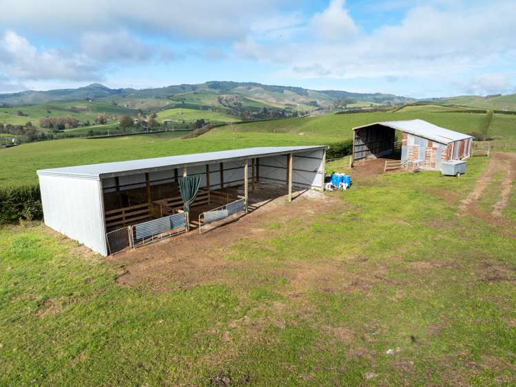 376 Starkey Road Morrinsville_7