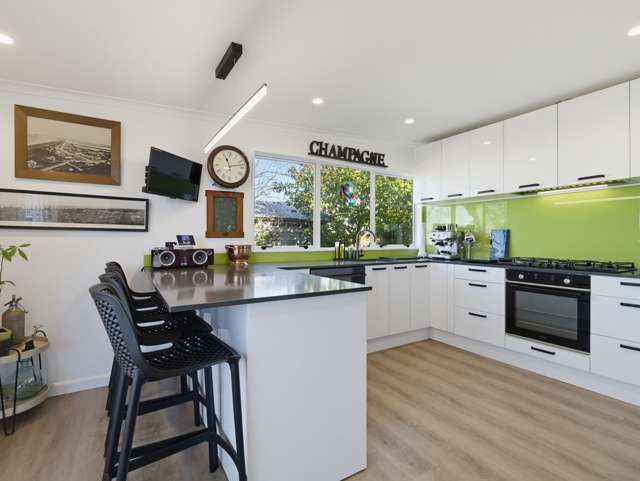 20 McVay Street Napier South_4