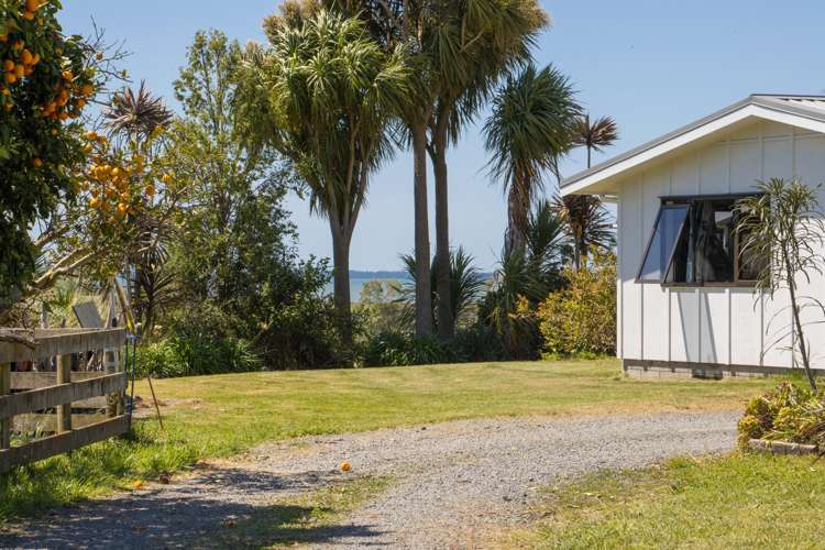 117b Matahui Road Aongatete_22