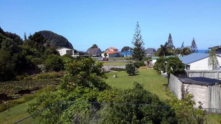 211 Onemana Drive Onemana_9