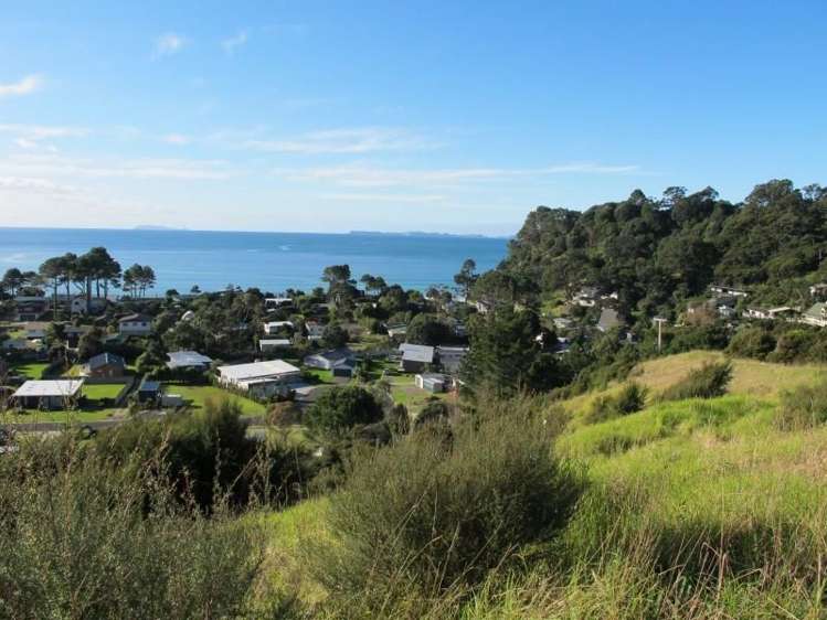 17 Te Punga Road Whangapoua_3