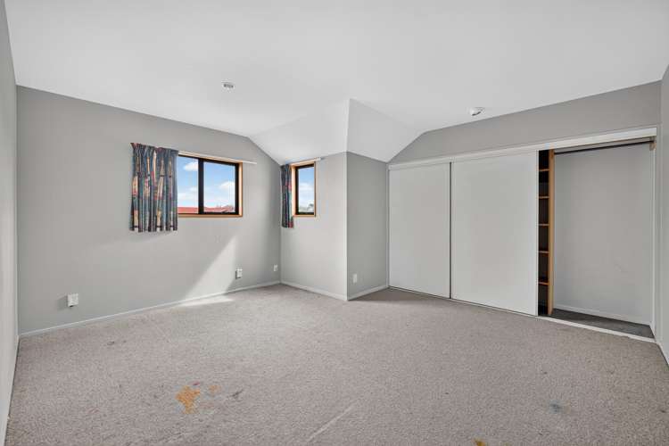 55 Lowry Avenue Redwood_10