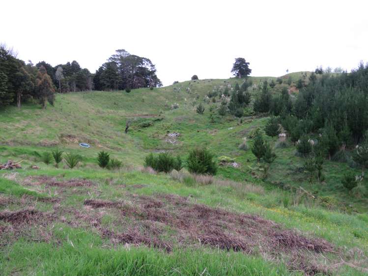 289 Franklin Road Paparoa_5