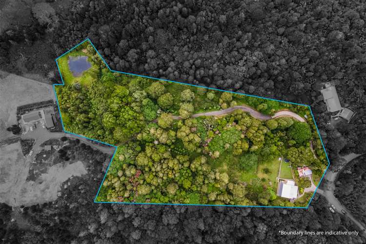 105 Bodhisattva Road Waitoki_29