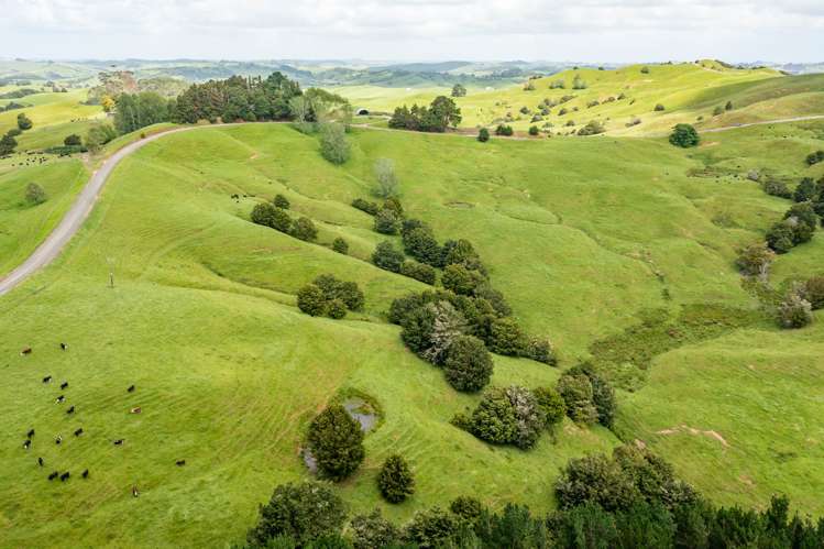 Mangarata Block Road (18.56 ha) Tangiteroria_5