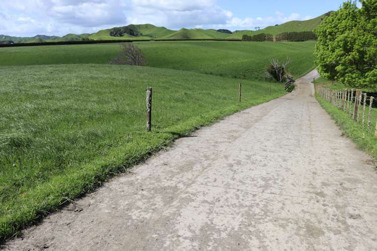 734 Bird Road Pukengahu_30