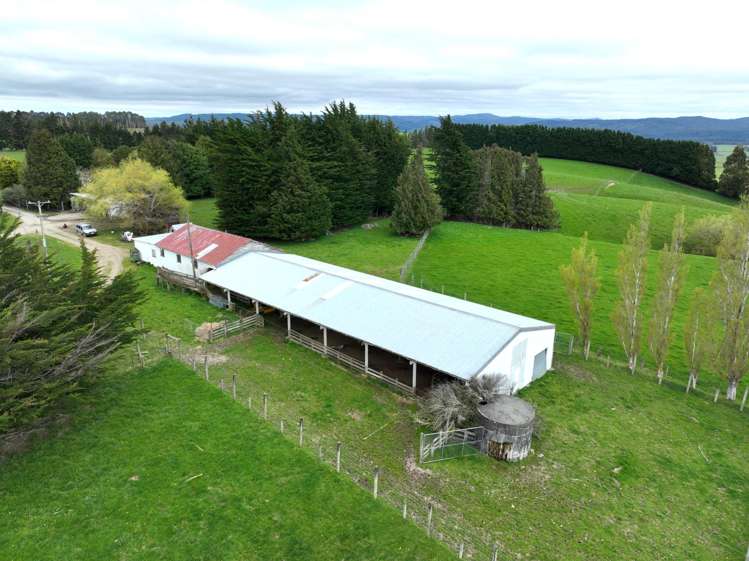 150 Mulvey Road Eastern Bush_11