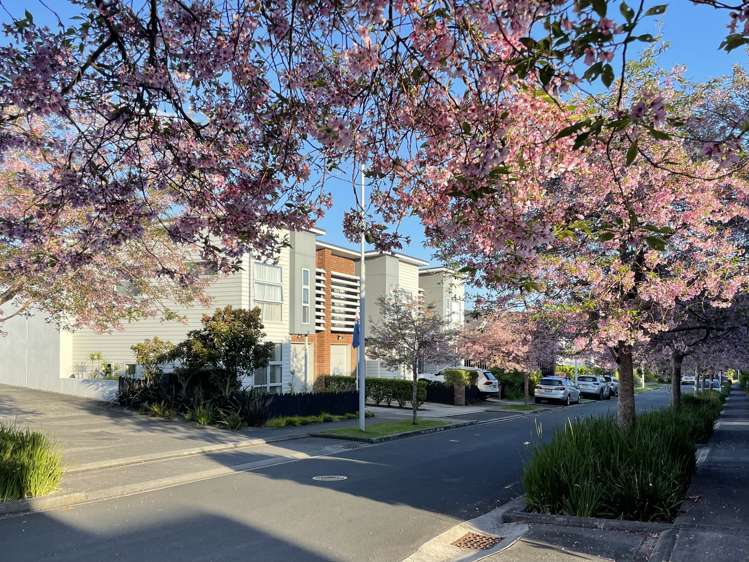 2 Station Street Hobsonville_15