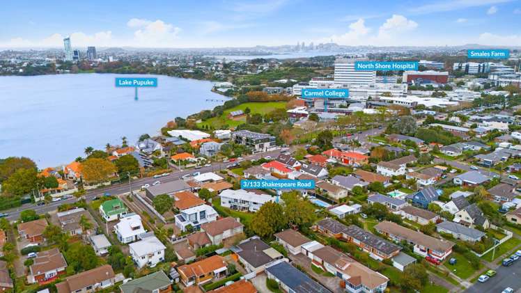 3/133 Shakespeare Road Milford_18