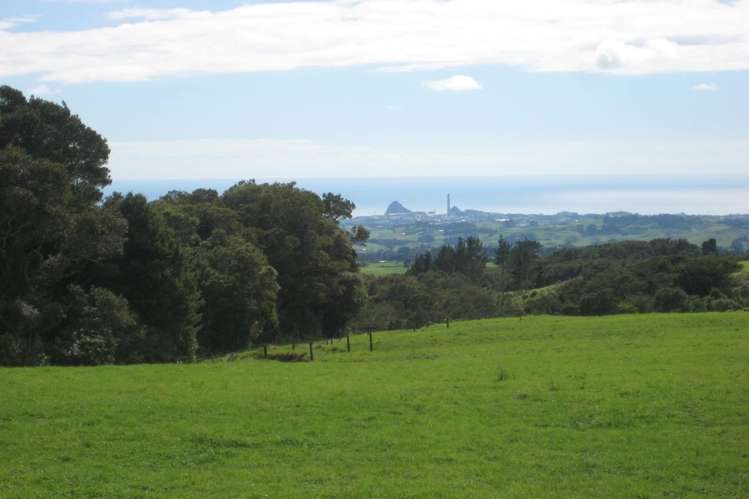 1113 Plymouth Road Koru_0