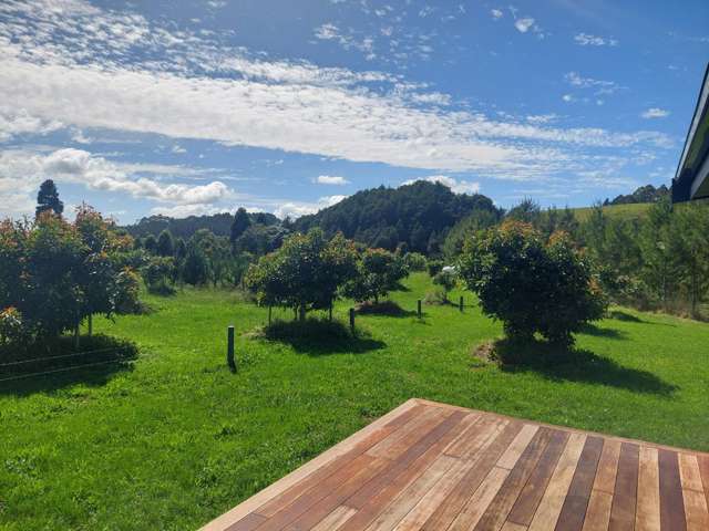 382 Mill Creek Road Whitianga_1