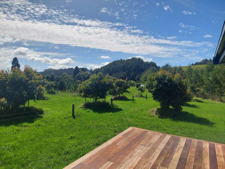382 Mill Creek Road Whitianga_1