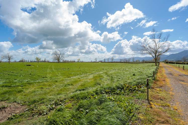 353 Maiseys Road, Waharoa Matamata_9