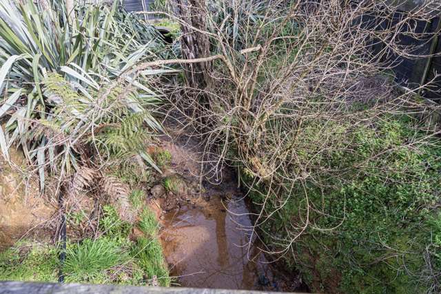 878 Russell Road Whakapara_4