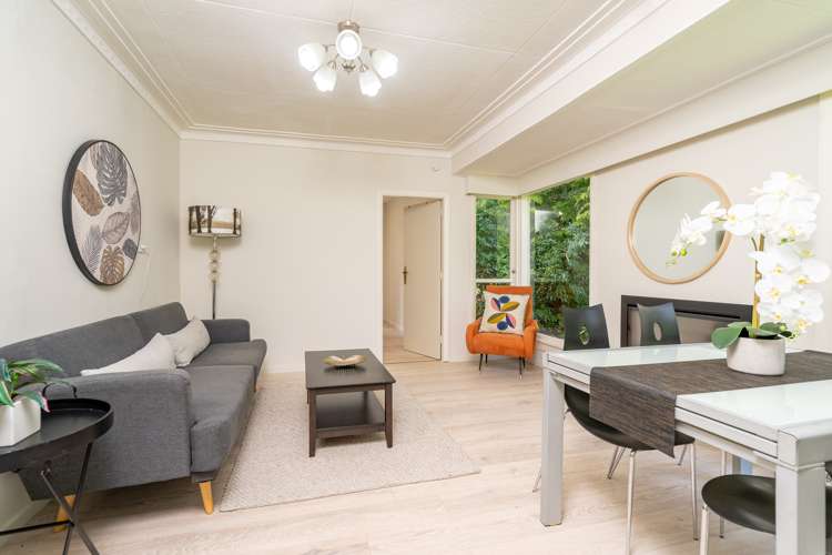 6 Harden Street Woodhaugh_8