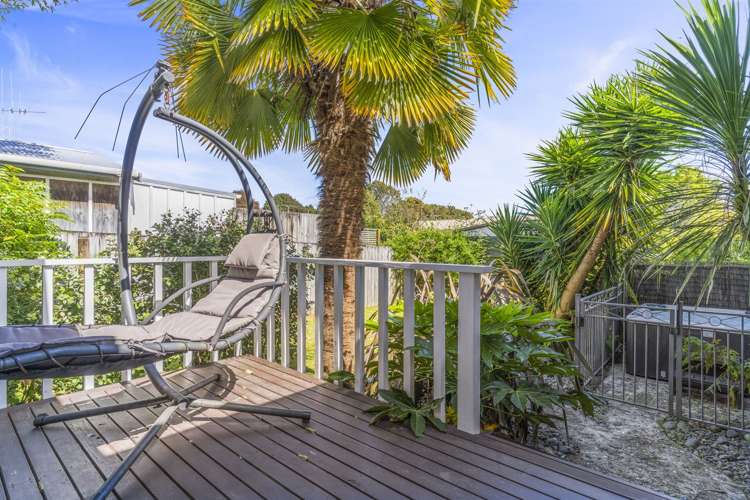 13 Belvedere Street Te Puke_12