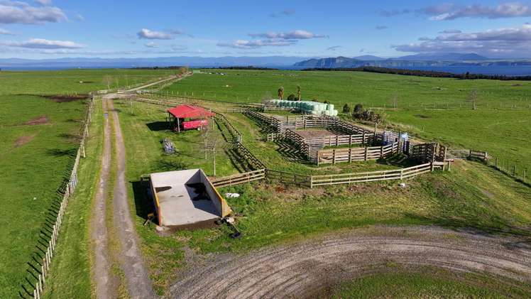 550 Puketapu Road Marotiri_12