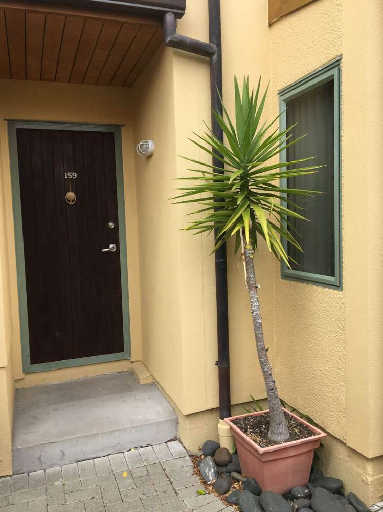 159 Waterside Crescent Gulf Harbour_13