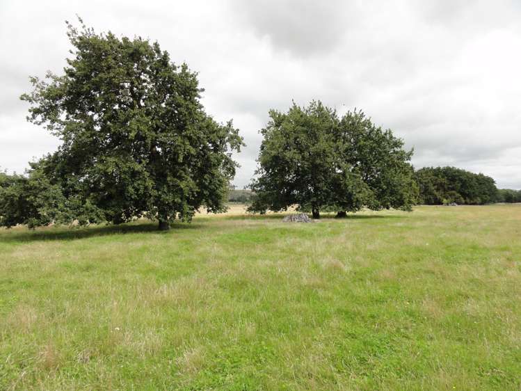 352 Horsley Down Road Hawarden_21