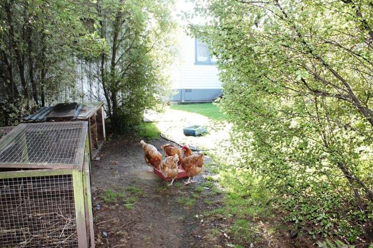 9 Ruru Crescent Putaruru_18