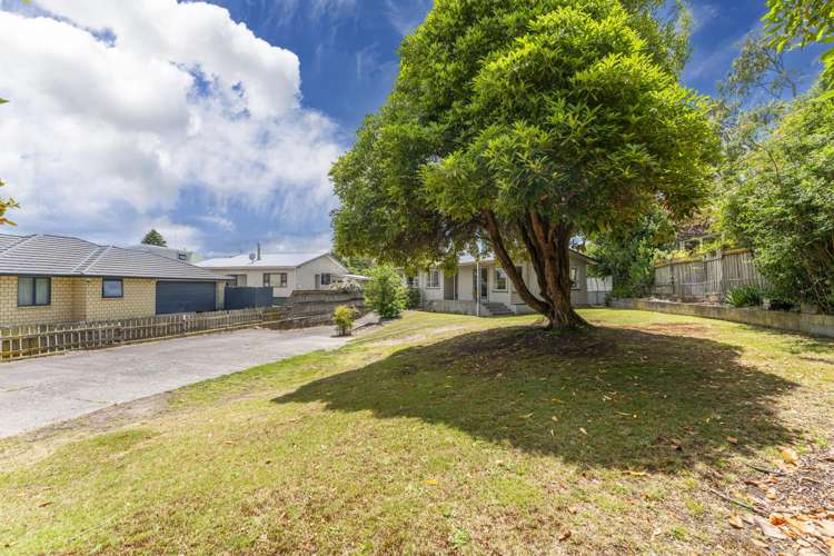 186 Tamamutu Street_5