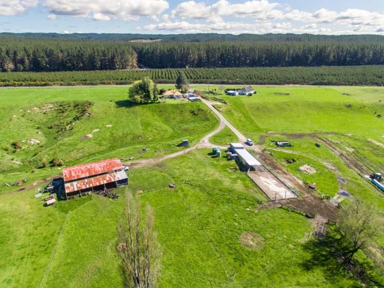 667a Kopuriki Road Murupara Surrounds_5