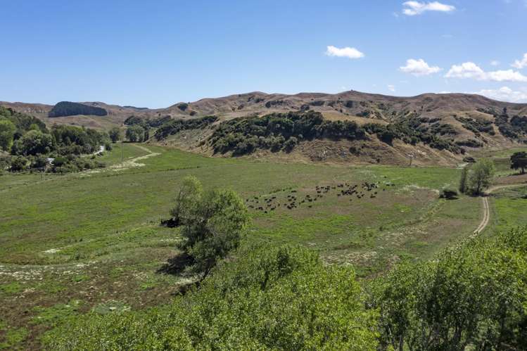 475 Te Akau South Road Te Akau_20