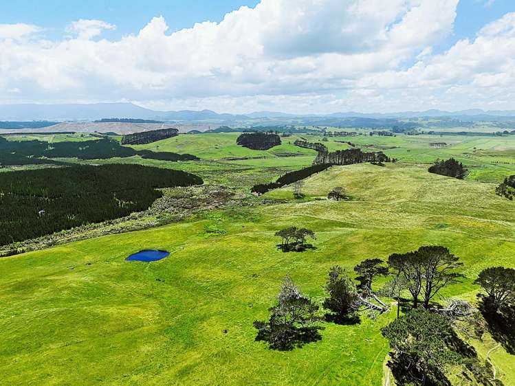 Lot Lot 2 Scottys Camp Road Dargaville_12