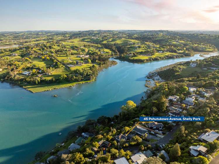 45 Pohutukawa Avenue Shelly Park_29