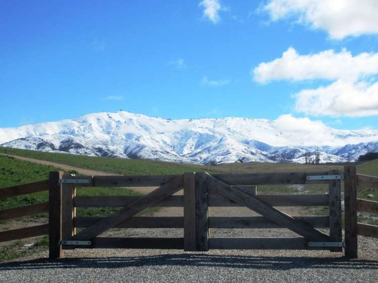 Golden Road Alexandra_2